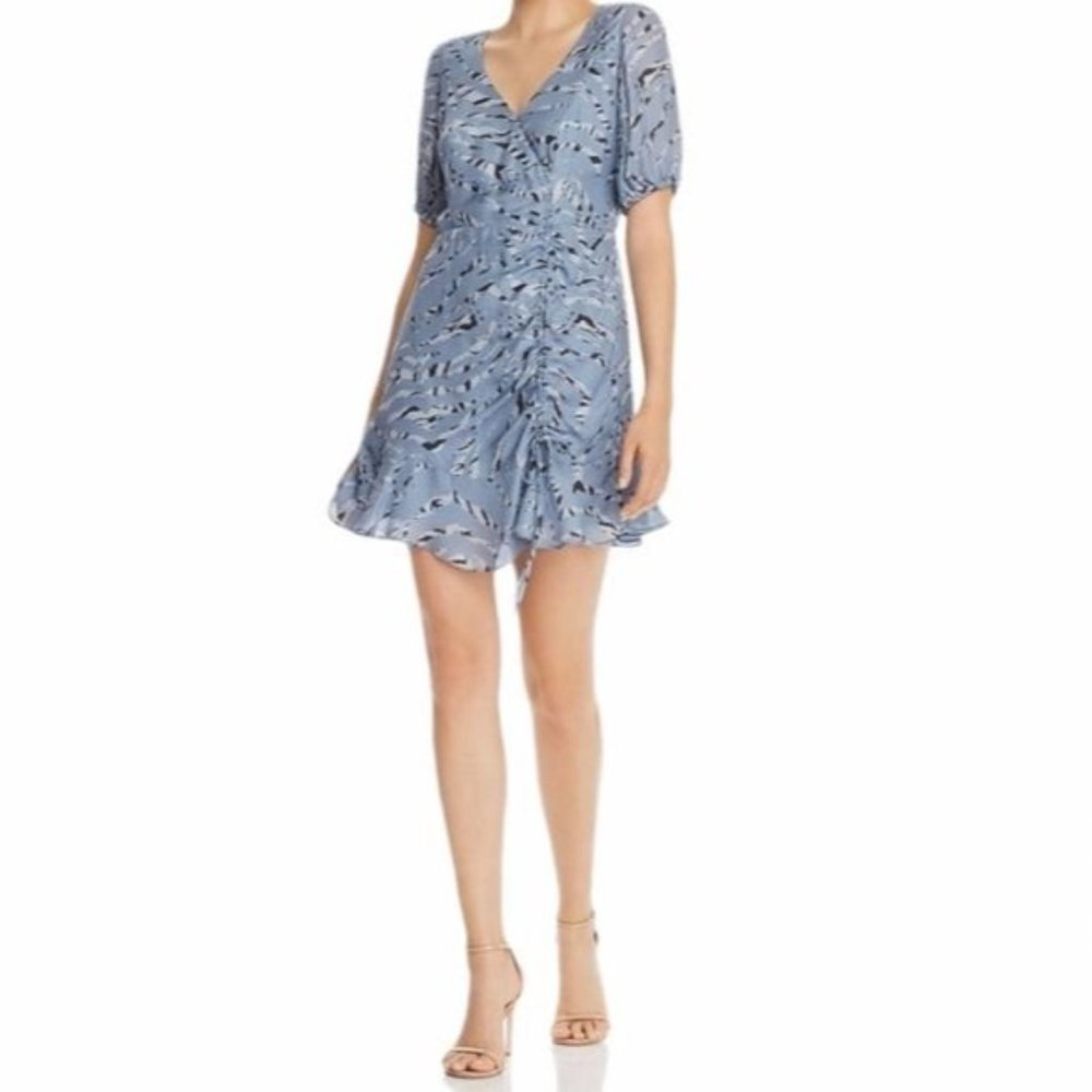 NWT PARKER Soliana Silk Blend‎ Tiger-stripe Dress Size 4